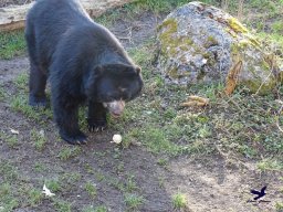 Tiergarten Schönbrunn am 05.03.2026